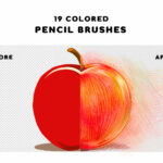Pencil Procreate Brushes | 19 Colored Pencil Brushes For Procreate